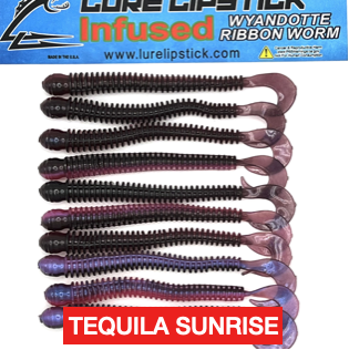 Infused Custom Ribbon Worms with 16 VARIATIONS - Image 10